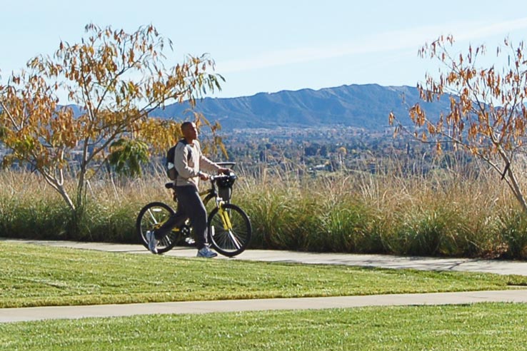 A person walking their bike around campus.